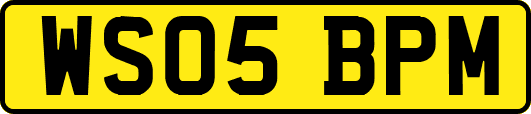 WS05BPM