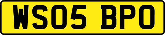 WS05BPO