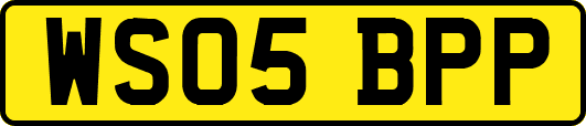 WS05BPP