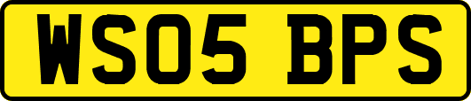 WS05BPS