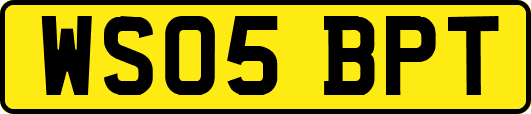 WS05BPT