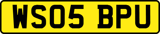 WS05BPU