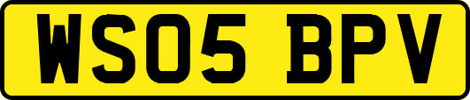 WS05BPV