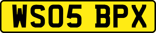 WS05BPX