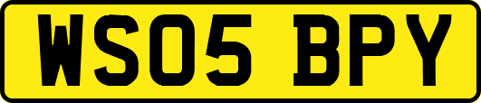 WS05BPY