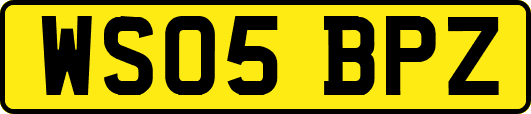 WS05BPZ