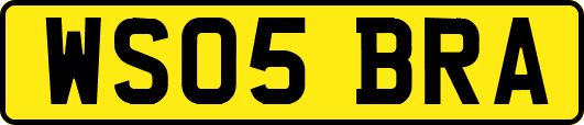 WS05BRA