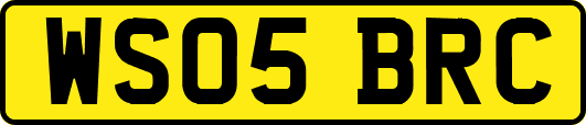 WS05BRC
