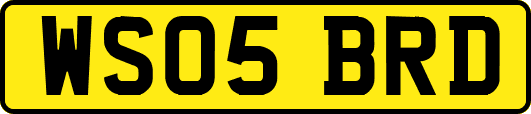 WS05BRD