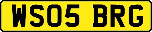 WS05BRG