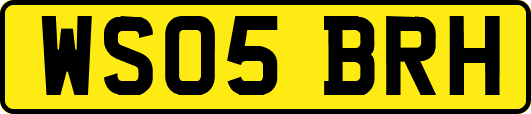 WS05BRH