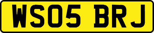 WS05BRJ