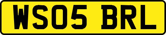 WS05BRL