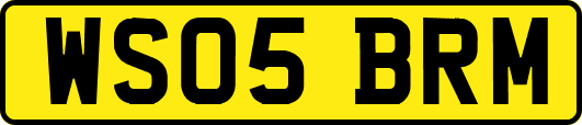 WS05BRM