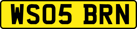 WS05BRN
