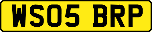 WS05BRP