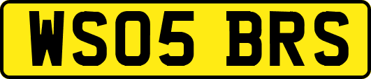 WS05BRS
