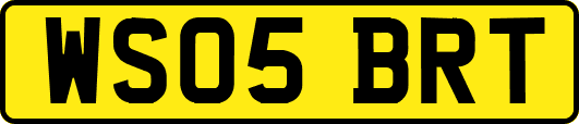 WS05BRT