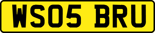 WS05BRU