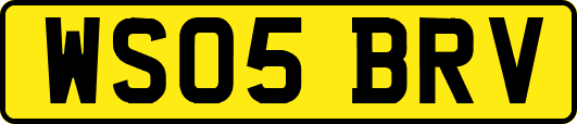 WS05BRV