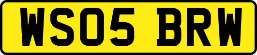 WS05BRW