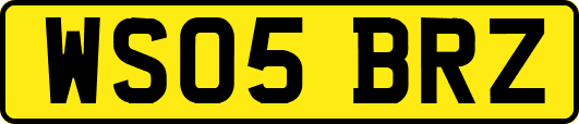 WS05BRZ