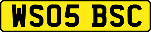 WS05BSC