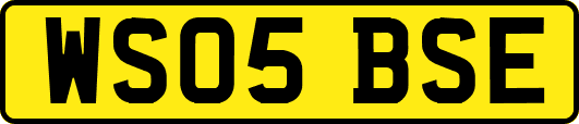 WS05BSE