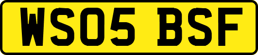 WS05BSF