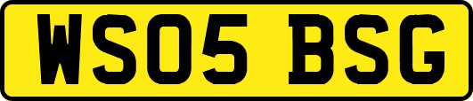 WS05BSG