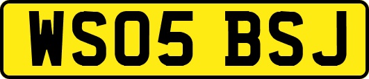WS05BSJ