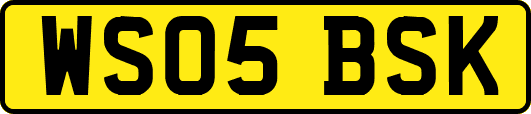 WS05BSK