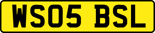 WS05BSL