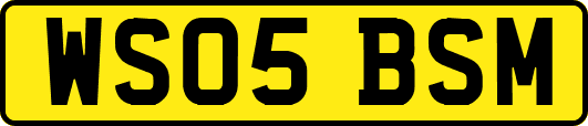 WS05BSM