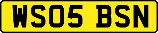 WS05BSN