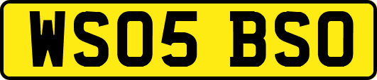 WS05BSO