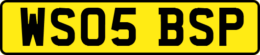 WS05BSP