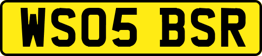 WS05BSR