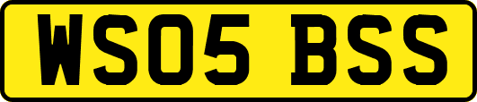 WS05BSS