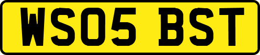 WS05BST