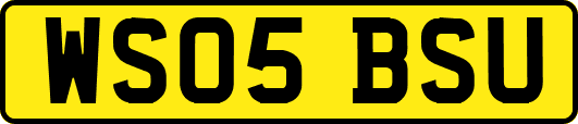 WS05BSU