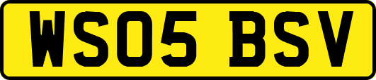 WS05BSV
