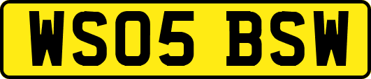 WS05BSW
