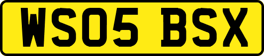 WS05BSX