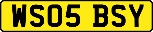WS05BSY