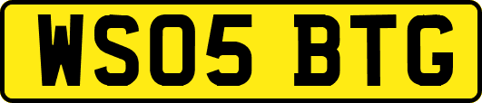 WS05BTG
