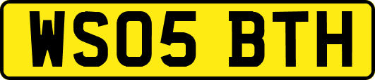 WS05BTH