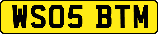 WS05BTM
