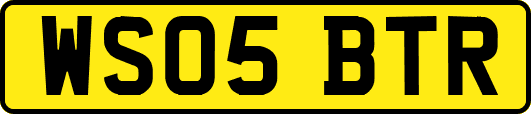 WS05BTR
