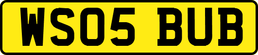 WS05BUB